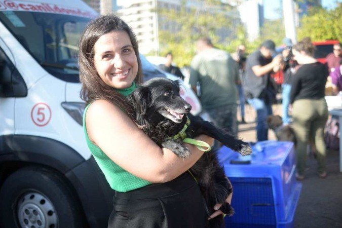 Larissa Reis adotou Plínio, um vira-lata idoso que desceu da van direto para seus braços