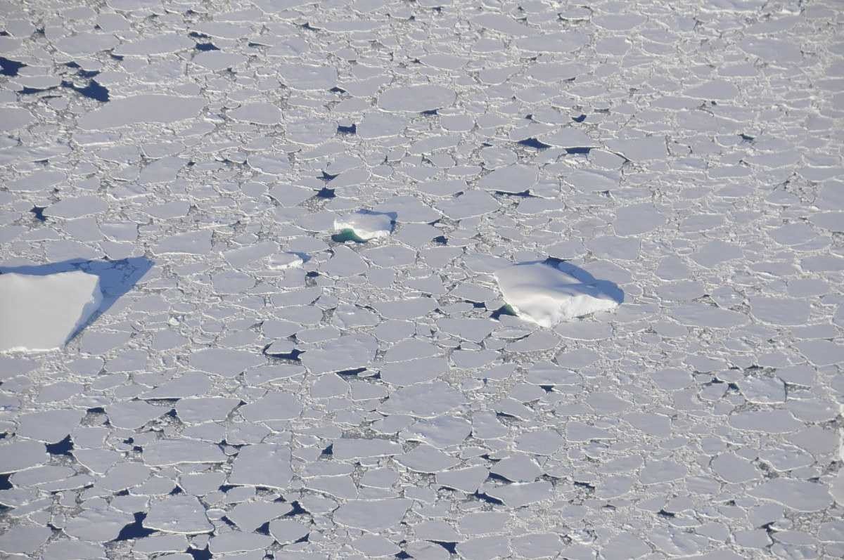 Redução do gelo marinho da Antártida é associado à ação humana