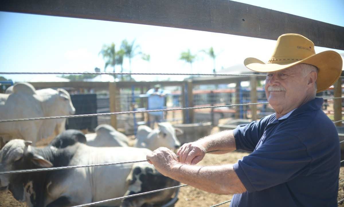  Na AgroBrasília, o comerciante José Silva estuda o mercado, pois tem interesse em iniciar o ramo da pecuária 