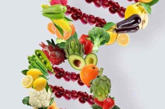 O teste nutrigenético fornece informações sobre predisposições a doenças, além de saber quais vitaminas e nutrientes aquele organismo absorve melhor -  (crédito: Reprodução Pinterest)