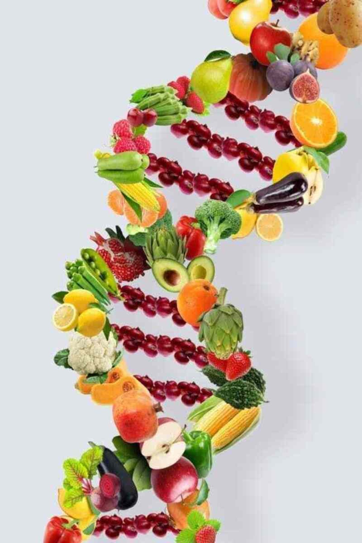 O teste nutrigenético fornece informações sobre predisposições a doenças, além de saber quais vitaminas e nutrientes aquele organismo absorve melhor