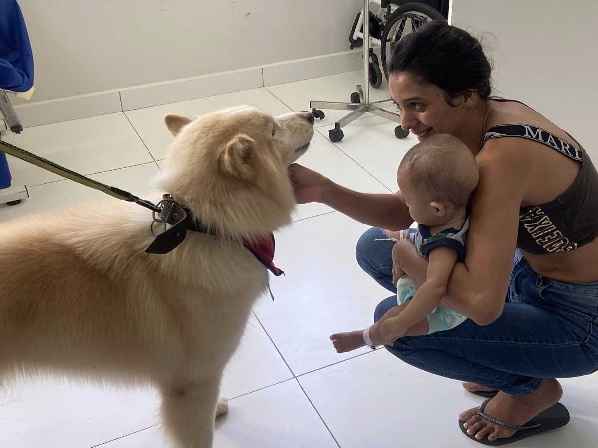 Cães de suporte emocional visitam crianças em tratamento no Hmib