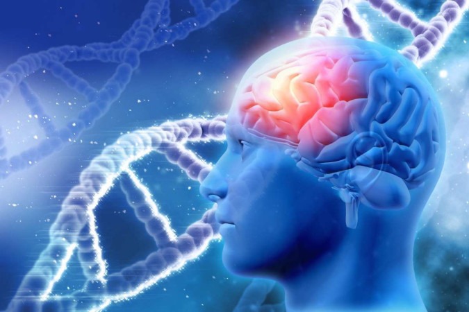 Estudos avaliaram geneticamente estruturas neurais na busca por respostas para tratar transtornos psiquiátricos e neurovegetativos 
 -  (crédito: Image by kjpargeter on Freepik)