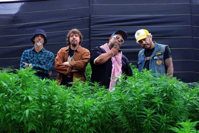 Planet hemp grava clipe em fazenda de maconha -  (crédito: Rodrigo Braga)