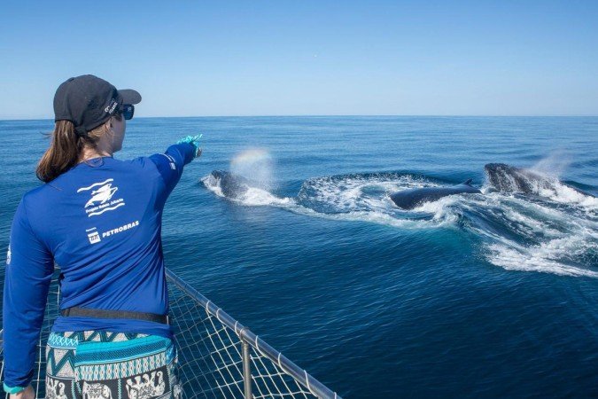 Temporada de observação de baleias inicia no Rio de Janeiro - (crédito: Uai Turismo) Temporada de observação de baleias inicia no Rio de Janeiro - (crédito: Uai Turismo)