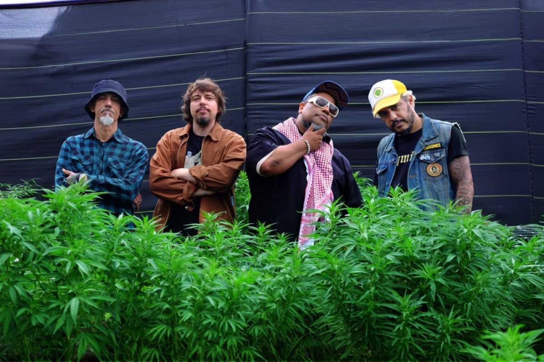 Planet hemp lança clipe gravado em fazenda de cannabis no Brasil