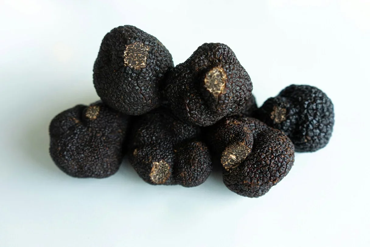 A culinária global vira e mexe reserva iguarias tão peculiares quanto especiais e apreciadas por quem entende de gastronomia. Uma dessas comidas é a trufa negra. -  (crédito: Big Dodzy unplash)