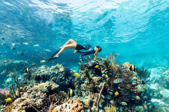 Explore a beleza natural e os tesouros submarinos da Barreira de Recifes de Andros, nas Bahamas -  (crédito: Uai Turismo)