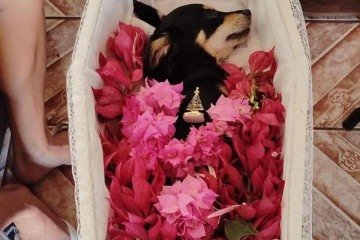 MG: cachorro ganha velório após morrer atropelado - Arquivo pessoal