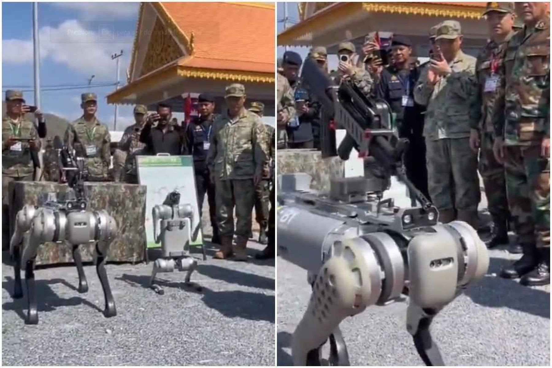 China apresenta 'exército de cães robôs' equipados com arma; vídeo