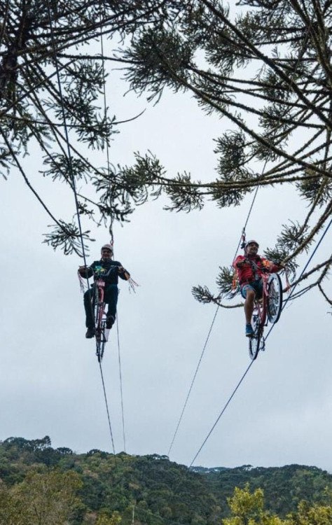 Tirolesa de Bike na Serra Catarinense oferece experiência única com a sensação de pedalar nas nuvens -  (crédito: Uai Turismo)