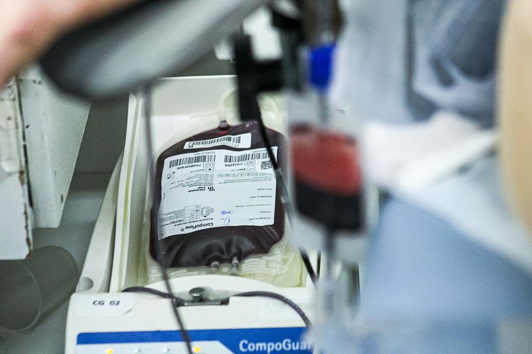 STF permite que testemunhas de Jeová recusem transfusão de sangue