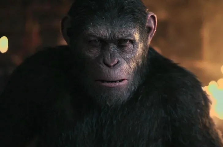Até agora, a franquia de Planeta dos Macacos conta com 10 filmes. O último longa, Planeta dos Macacos: O Reinado, foi lançado neste ano e pode ser visto no Disney+ - (crédito: reprodução) Até agora, a franquia de Planeta dos Macacos conta com 10 filmes. O último longa, Planeta dos Macacos: O Reinado, foi lançado neste ano e pode ser visto no Disney+ - (crédito: reprodução)