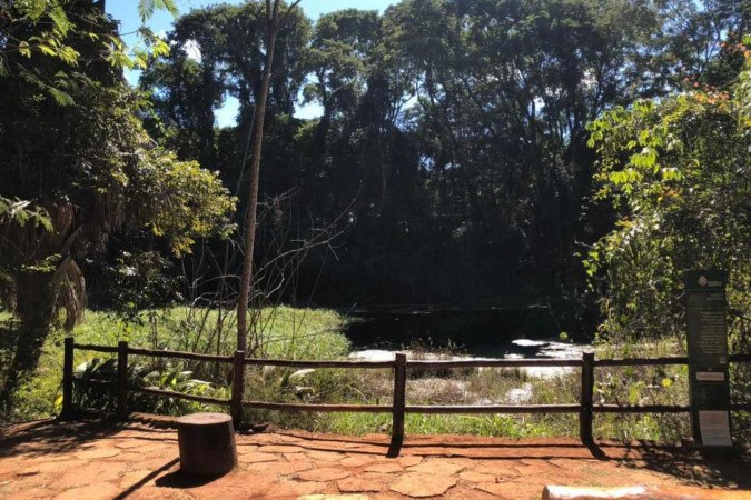 » Lagoa do Sapo, no Parque Ecológico Olhos D'Água, na Asa Norte: lugar de paz   -  (crédito: Naum Giló )