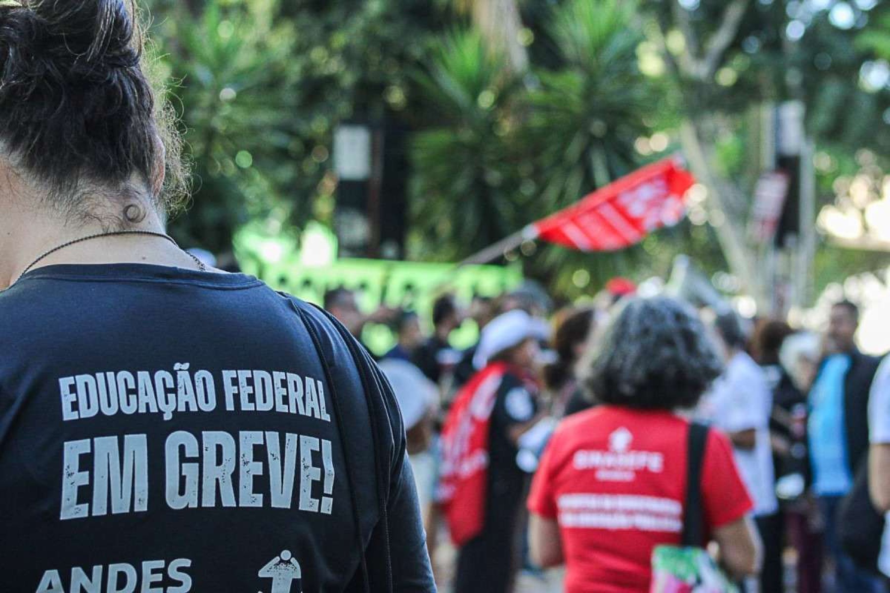 Valorização da educação: um compromisso urgente para o futuro do Brasil
