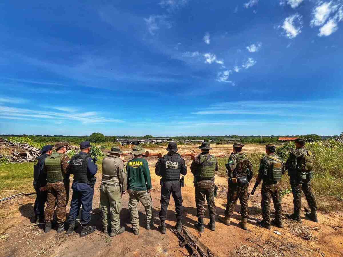 PF retira invasores de terra indígena e desmonta extração ilegal de madeira