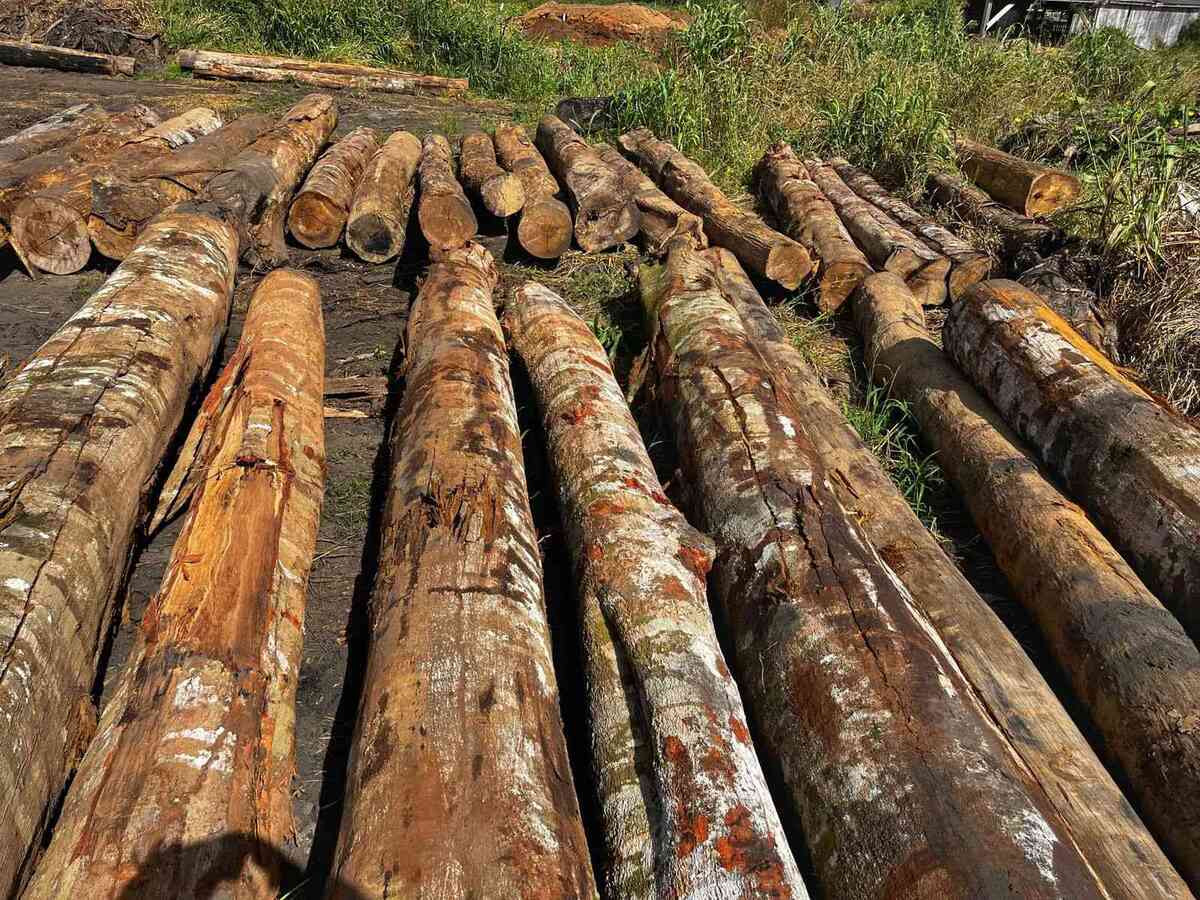 Os equipamentos são avaliados em cerca de R$ 2 milhões. Também foram apreendidos cerca de 140 metros cúbicos de madeira, avaliados em R$ 70 mil