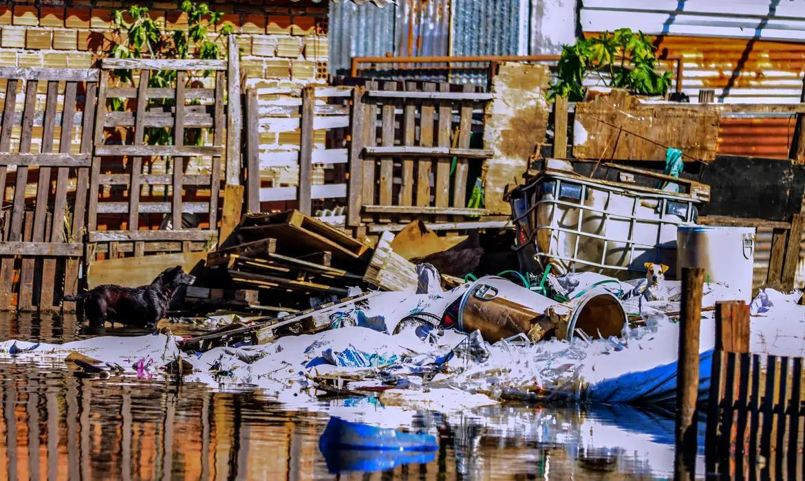 Engenheiros de outros estados ajudam a vistoriar imóveis em Canoas -  (crédito: EBC)