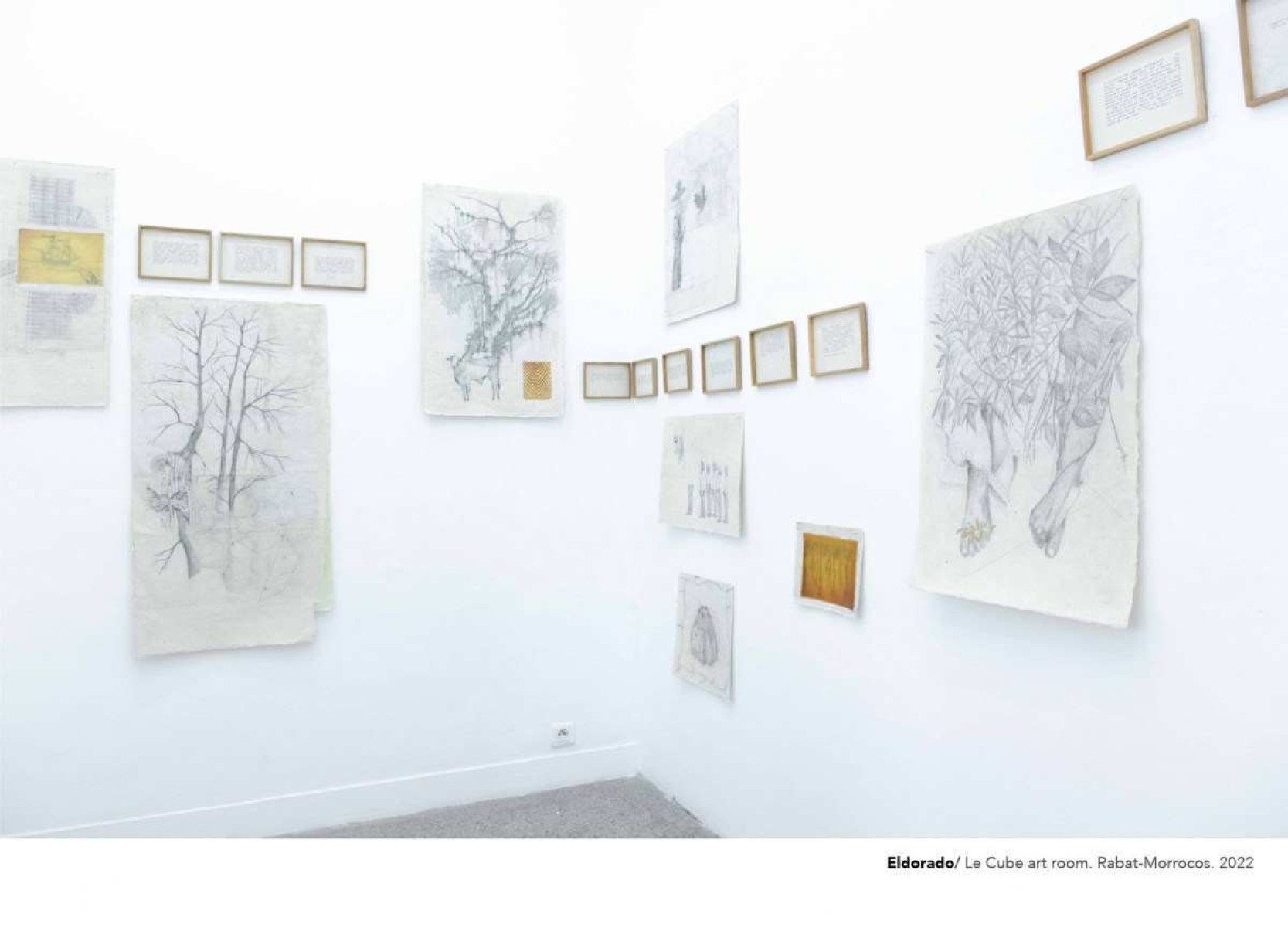 Galeria em Anápolis recebe três exposições de artistas mulheres