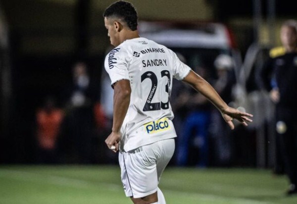 Foto: Raul Baretta/ Santos FC.