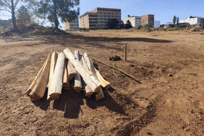 No domingo (9/6), 6 pessoas foram presas por parcelamento irregular do solo em propriedade da Terracap, na Colônia Agrícola Sucupira -  (crédito: PCDF)