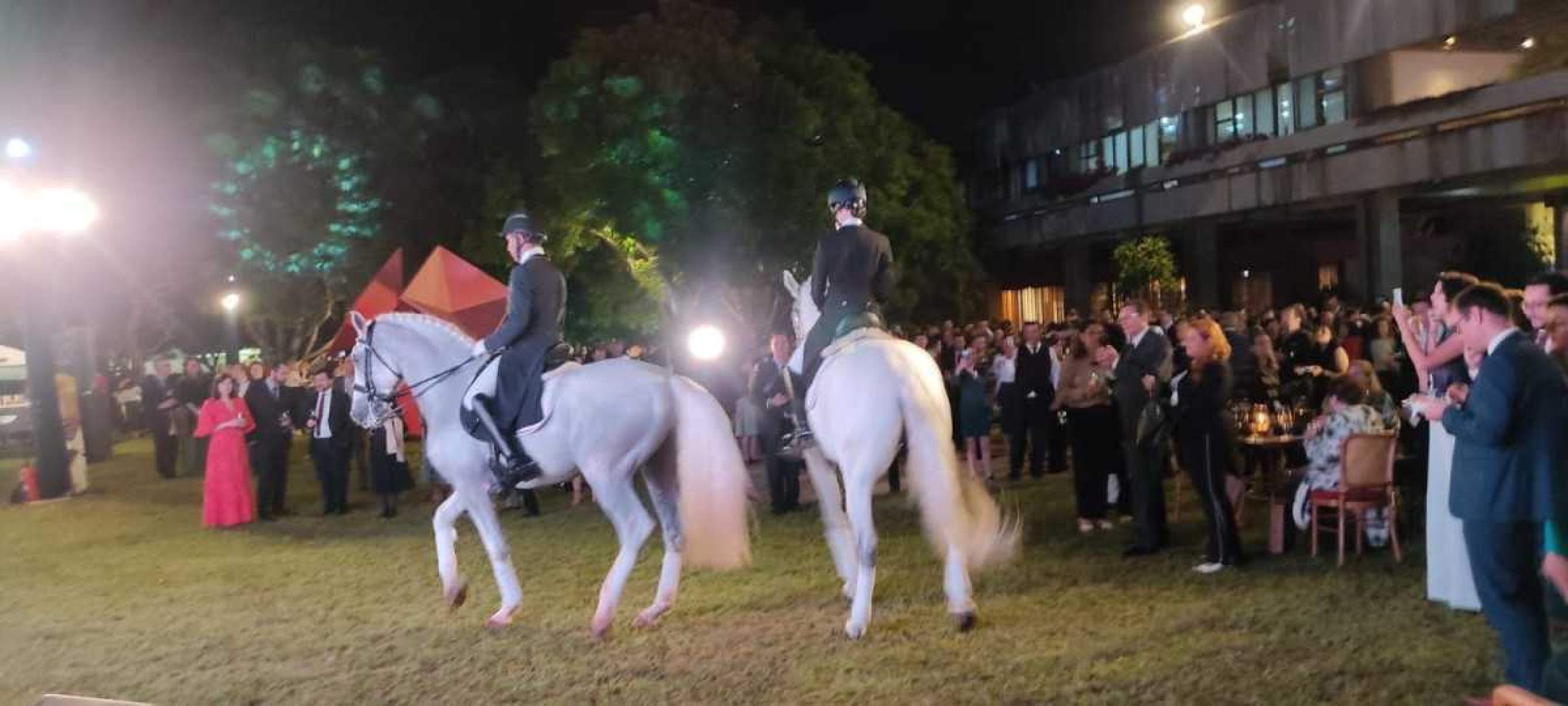 Cavalos Puro Sangue Lusitano se exibem nos jardins da Embaixada de Portugal