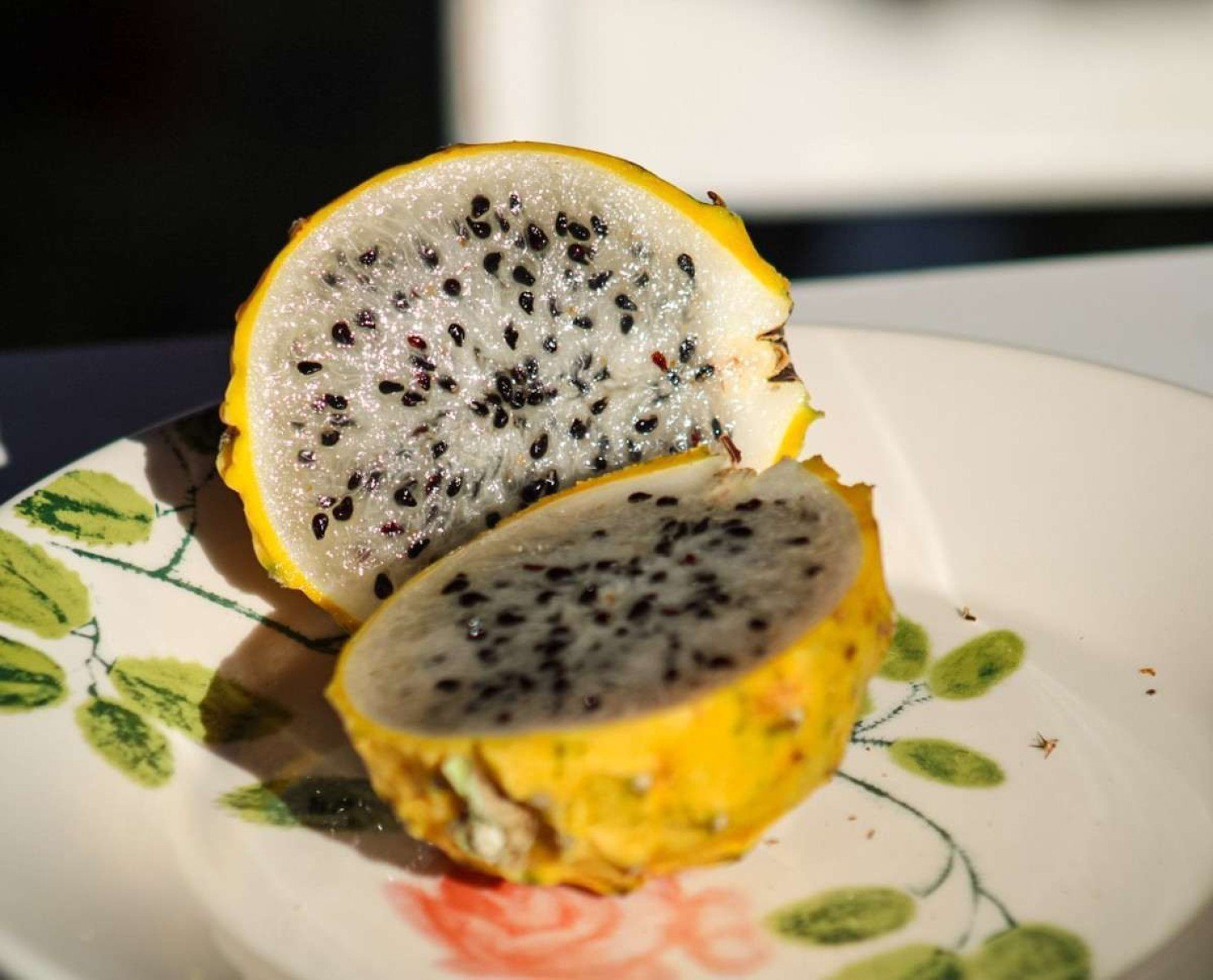  13/06/2024 Crédito: Kayo Magalhães/CB/D.A Press. Cidades.Produção de pitayas no DF. Na foto, o prudutor Hélio Nonato Brandão. 