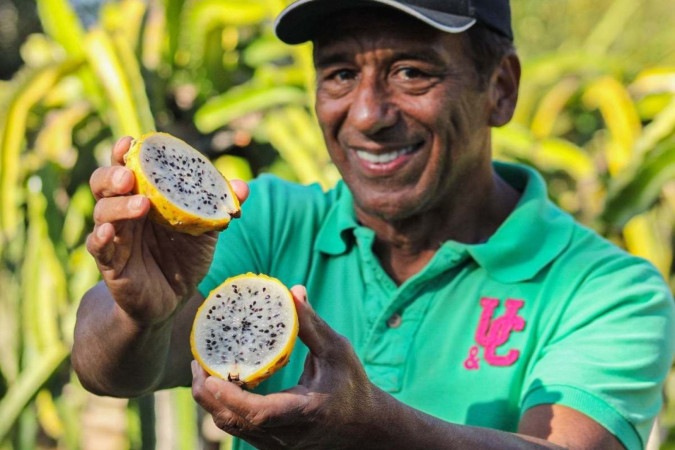  Hélio Nonato Brandão trabalha com cultivo de pitayas há cinco anos e ressalta que a fruta é uma das mais adaptáveis ao clima do Cerrado — e uma das mais procuradas pelo mercado -  (crédito:  Kayo Magalhães/CB/D.A Press)