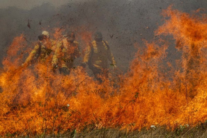 De acordo com o levantamento do Programa Queimadas, do Inpe, desde o começo do ano até junho foram registrados 978 focos de incêndio no Pantanal  -  (crédito: Joedson Alves/Agência Brasil)