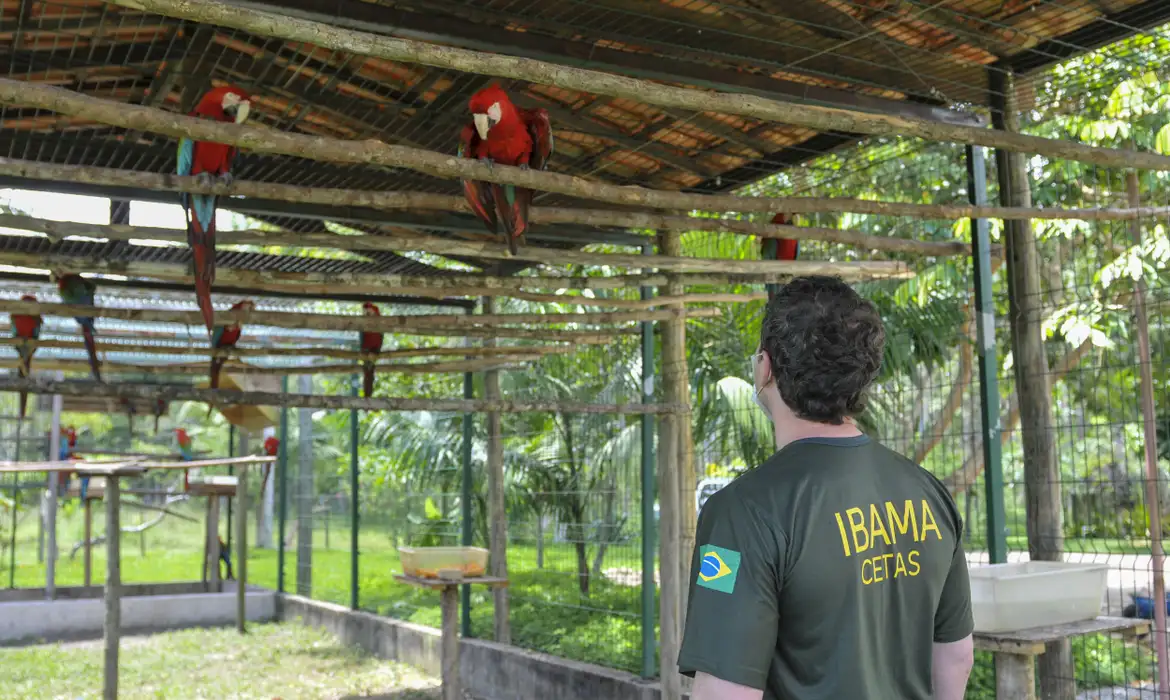 Servidores do meio ambiente decidem entrar em greve no dia 24 -  (crédito: EBC)