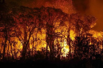 No Pantanal, os incêndios atingiram uma área de 468 mil hectares -  (crédito: Joédson Alves/Agencia Brasil)