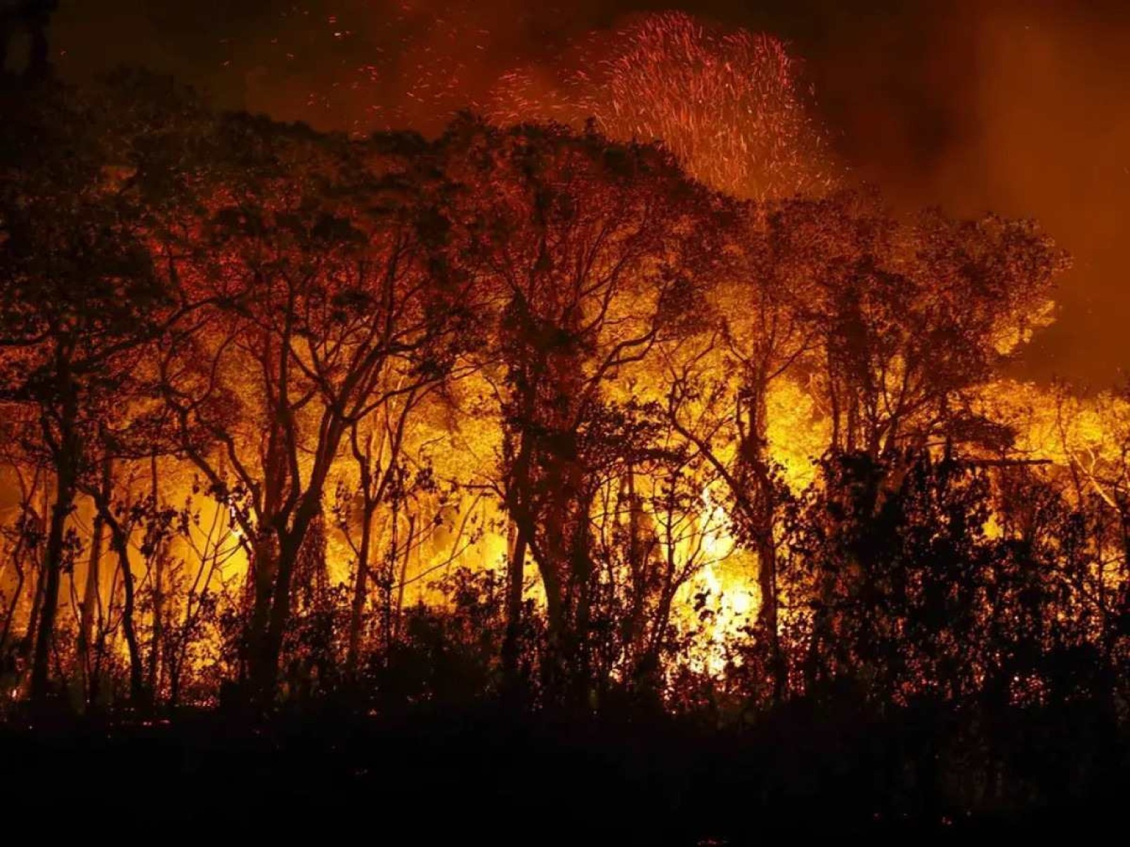 CBMDF enviará efetivo para combater incêndios no Pantanal