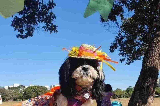 Amora, 6 anos, no entanto, é mais reservada e não se mistura tanto