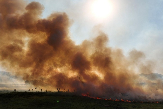 Seca histórica facilita a propagação do fogo, apontam especialistas -  (crédito: Ueslei Marcelino/Reuters)