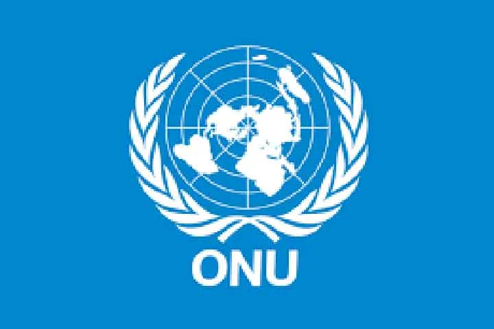 O painel é um órgão independente, criado em 2022, com mandato do Conselho de Direitos Humanos da ONU -  (crédito:  Divulgação)