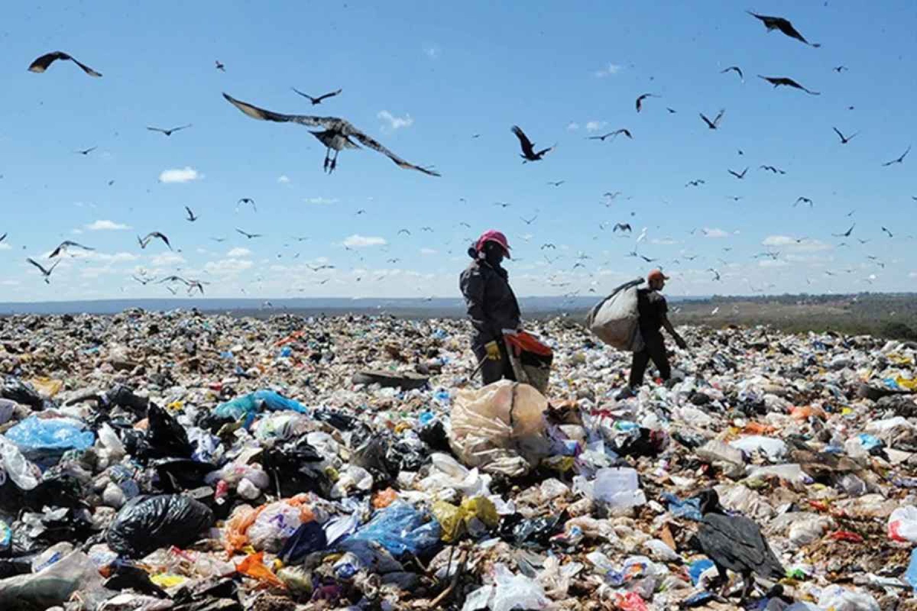 Brasil não vai cumprir a meta de extinguir lixões este ano, aponta relatório