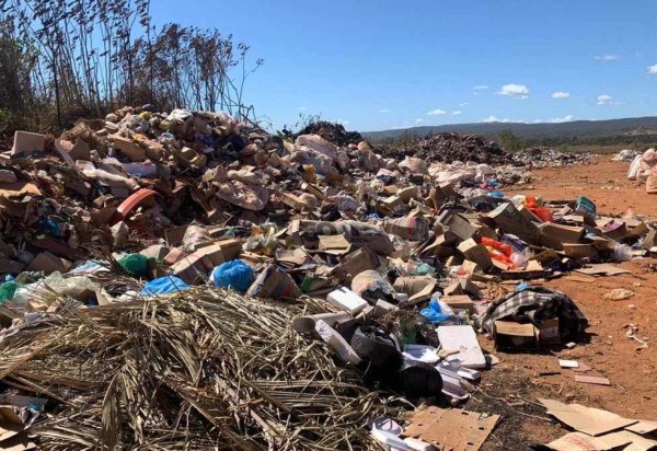 Movimento Ambiental/Divulgação