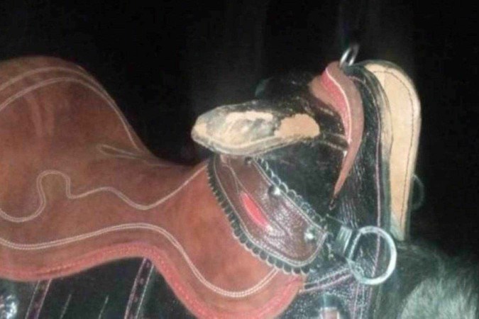 Cela que estava no cavalo; vítima caiu e morreu no local -  (crédito: Divulgação / Polícia Militar)