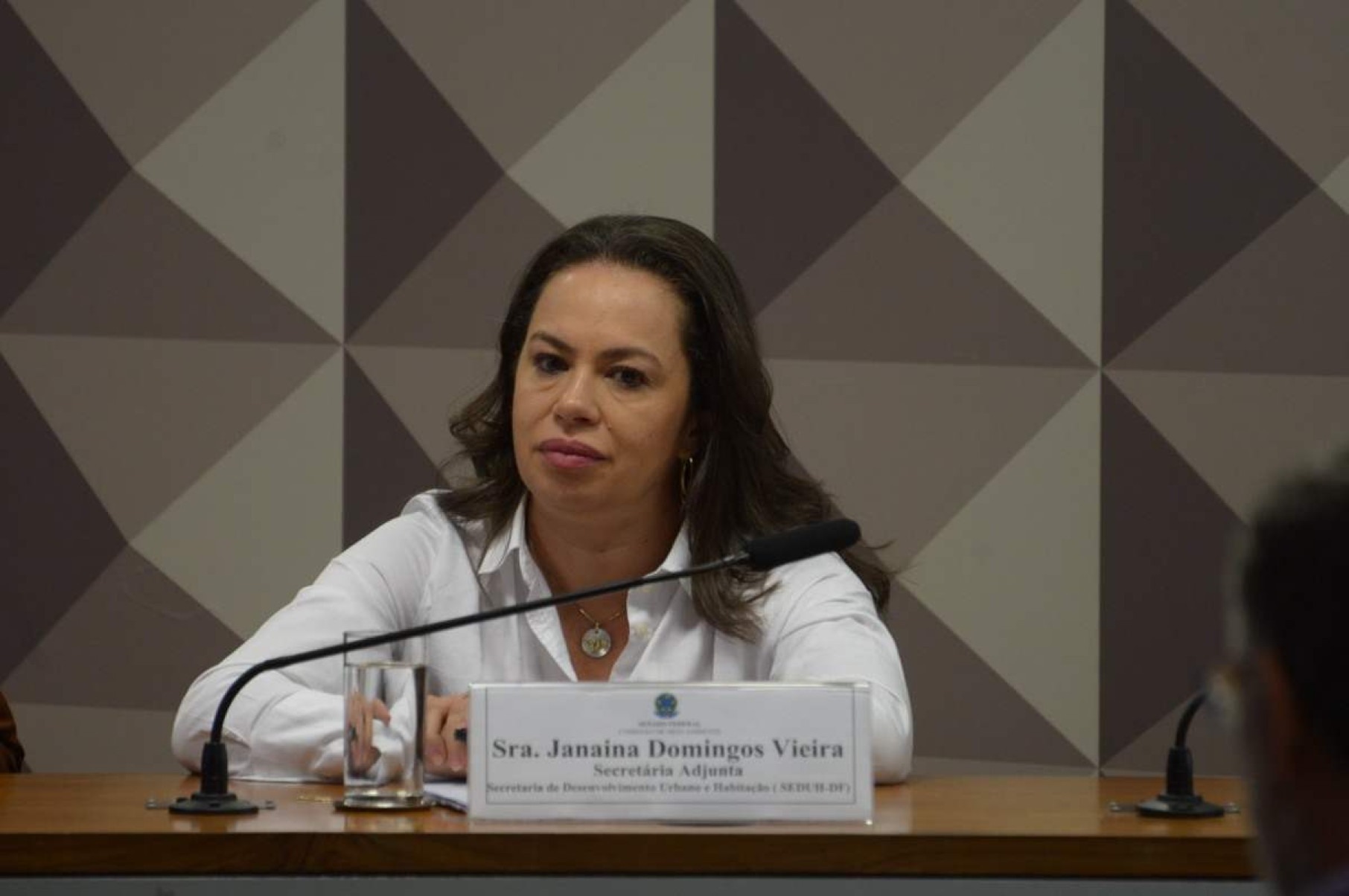 Janaína Gomes, representante da Seduh, aproveitou a ocasião para esclarecer alguns pontos polêmicos da proposta 