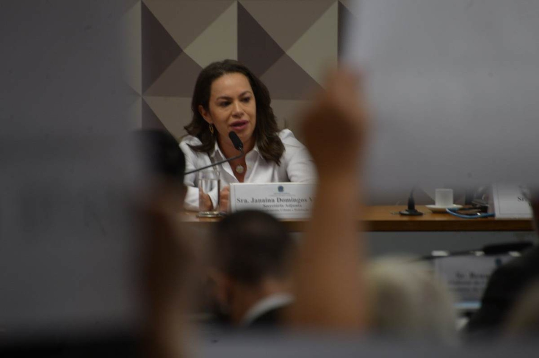 Janaína Gomes, representante da Seduh, aproveitou a ocasião para esclarecer alguns pontos polêmicos da proposta 