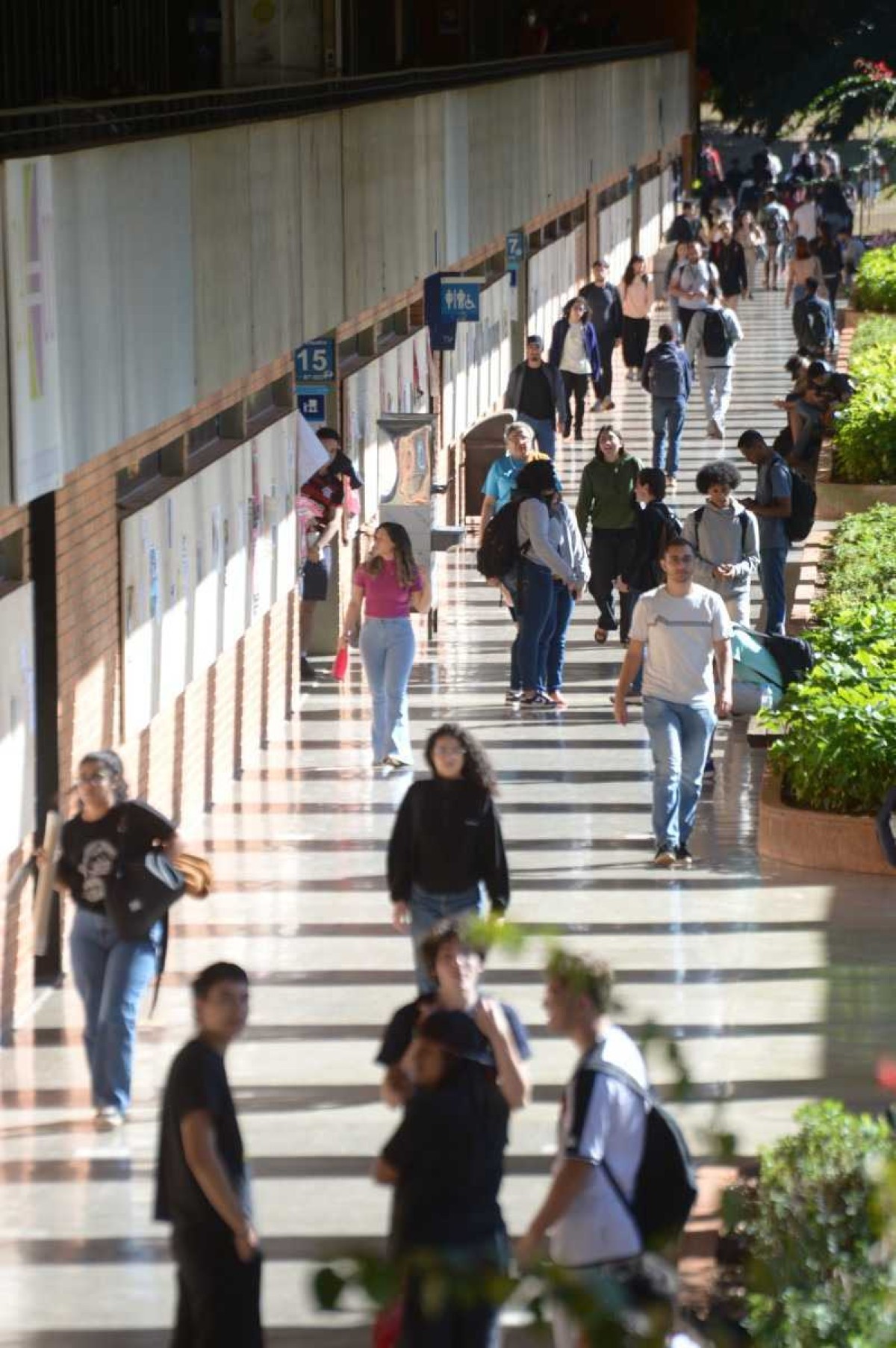 Visão do Correio: A importância da formação dos professores