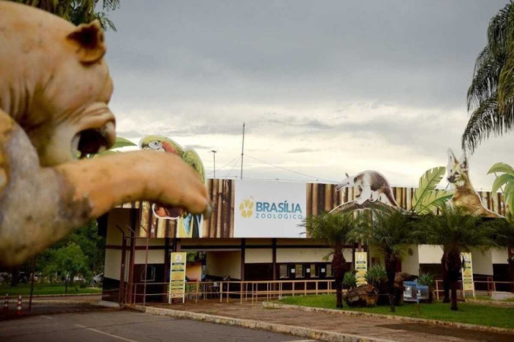 Primeiro arraiá do Zoo de Brasília terá quadrilha e comidas típicas
