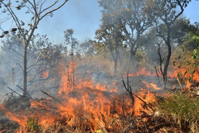 No auge da seca o CNMDF empenha cerca de 200 militares para combater as chamas diariamente 