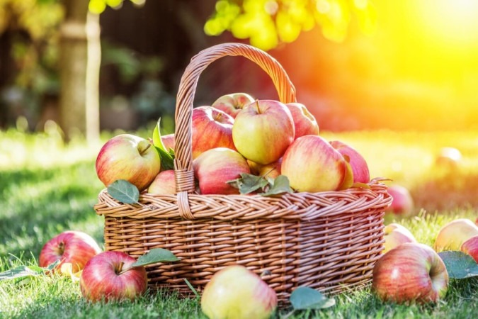 A maçã oferece diversos benefícios para a saúde (Imagem: Valentyn Volkov | Shutterstock) 
 -  (crédito: EdiCase - Geral)