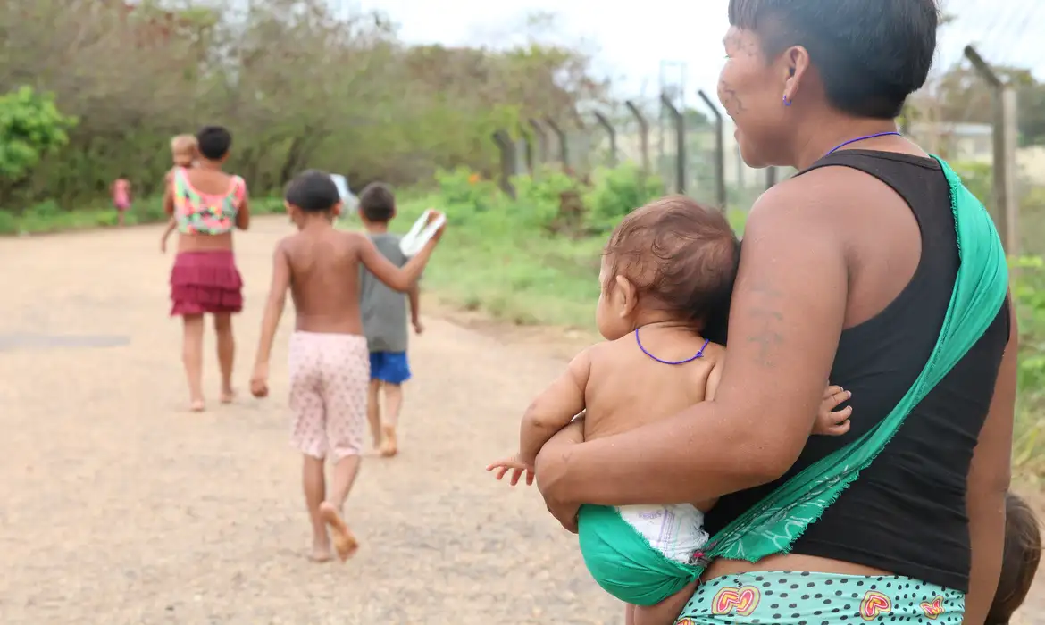 Conab faz leilões para compra de cestas de alimentos para os yanomami -  (crédito: EBC)