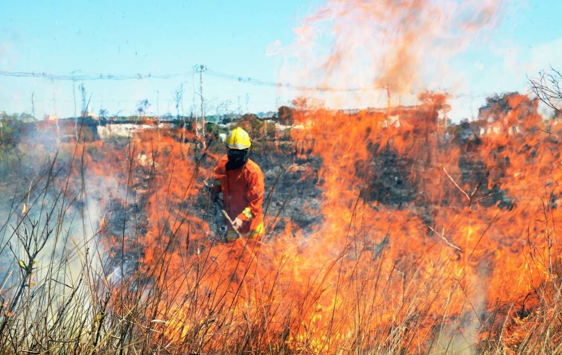 De 1º a 16 de agosto, Brasília registrou 1.477 incêndios florestais