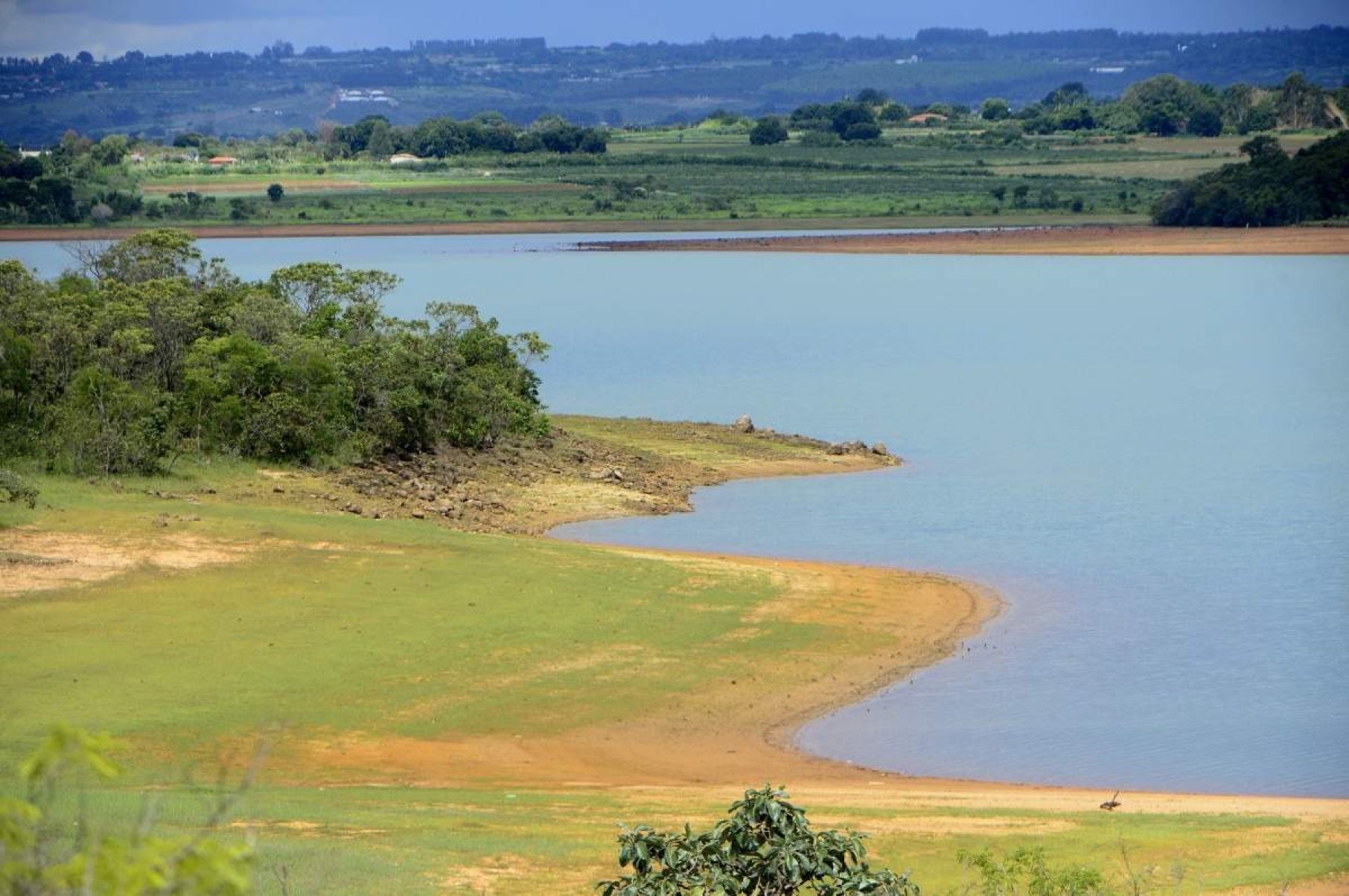 Valorizando o Cerrado: projetos incentivam educação ambiental 