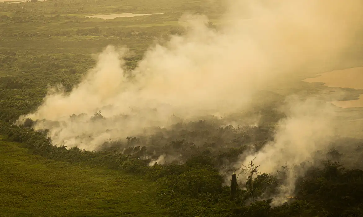 FAB faz quatro voos hoje para o Pantanal para combate às queimadas -  (crédito: EBC)