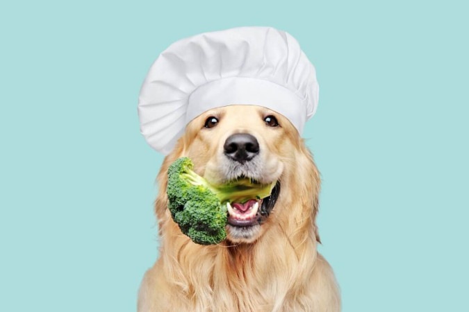 Incluir vegetais na dieta dos cachorros é uma excelente maneira de fornecer petiscos saudáveis (Imagem: Kasefoto | Shutterstock) -  (crédito: EdiCase - Pets -> Revista do CB)