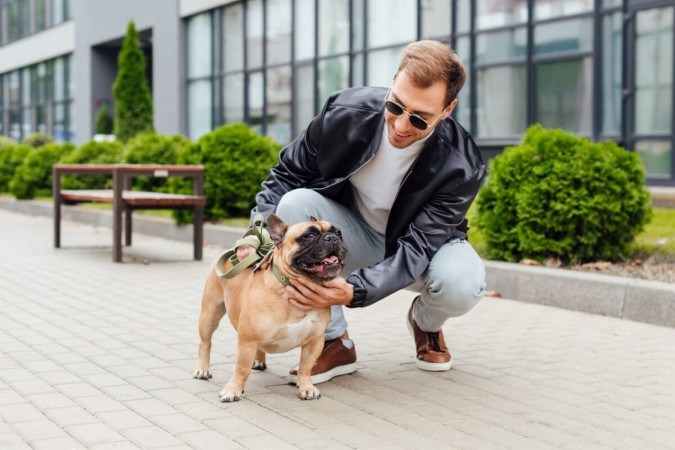 Passear com os cachorros Ã© essencial para manter a saÃºde fÃ­sica e mental dos animais (Imagem: LightField Studios | Shutterstock) -  (crédito: EdiCase - Pets -> Revista do CB)